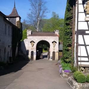 Meet your Posher, Sascha